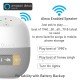 DULUCK Humpty Dumpty Speaker, Built-in Alexa, WiFi & Bluetooth connectivity DULUCK Humpty Dumpty Speaker, Built-in Alexa, WiFi & Bluetooth connectivity