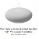 Google Nest Mini (2nd Gen) with Google Assistant with Google Assistant Smart Speaker Google Nest Mini (2nd Gen) with Google Assistant with Google Assistant Smart Speaker