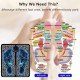 Mini Massage Machine mini massager portable rechargeable full body massager for pain relief with 8 Mode Ems neck cervical massager (FOOT-MASSAGER-COMBO-1) (FOOT MASSAGER) Mini Massage Machine mini massager portable rechargeable full body massager for pain relief with 8 Mode Ems neck cervical massager (FOOT-MASSAGER-COMBO-1) (FOOT MASSAGER)