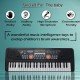 BIGFUN 530A-1 49 Key Piano Keyboard BIGFUN 530A-1 49 Key Piano Keyboard
