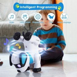 Remote Control Robot Dog Toy, Programmable Interactive & Smart Dancing Robots for Kids 5 and up, RC Stunt Toy Dog with Sound LED Eyes, Electronic Pets Toys Robotic Dogs